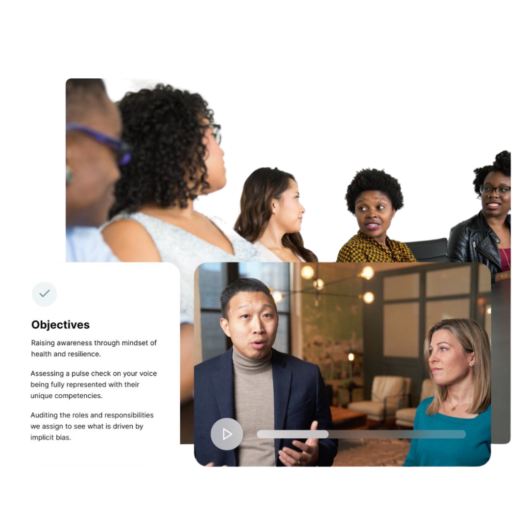 DEI Diversity Equity Inclusion Online Training